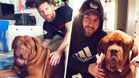 Lionel messi has shares a cuddle with his dog hulk. Even Lionel Messi's dog isn't safe from his dribbling | Oh ...