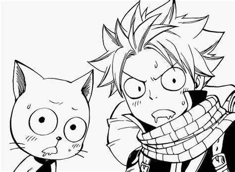 One day, natsu, a young man who is looking for the salamander and his talking cat happy meets lucy and help her get out of a sticky situation. 17 Best images about Natsu Dragneel on Pinterest | So ...