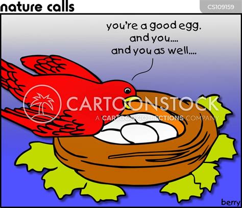 Bird Of Good Fortune Cartoons And Comics Funny Pictures From