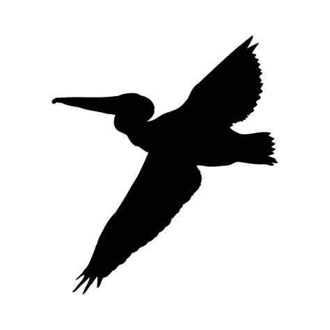 Flying Pelican Silhouette At Getdrawings Free Download