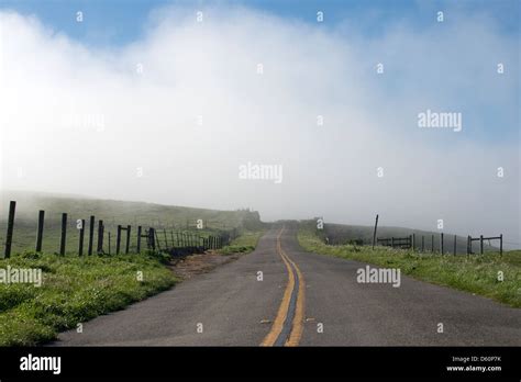 A Road Leads Into The Fog At Point Reyes National Seashore In Marin