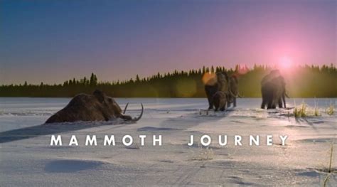 Walking With Beasts Ep 6 Mammoth Journey 2001 576p Video