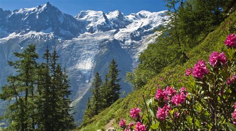 Visit Chamonix Mont Blanc Best Of Chamonix Mont Blanc Auvergne Rhône