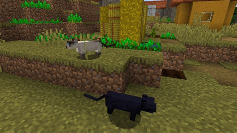 Ocelots Minecraft Taming