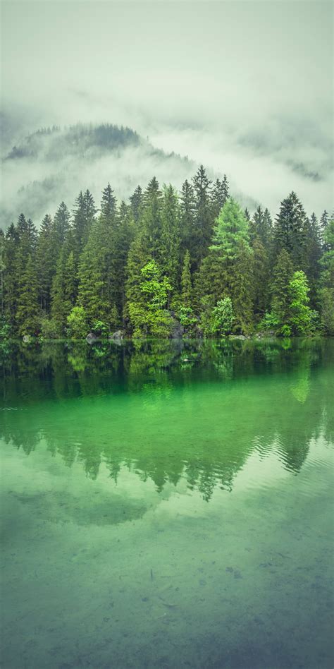 Download 1080x2160 Wallpaper Lake Green Water Trees Forest Nature