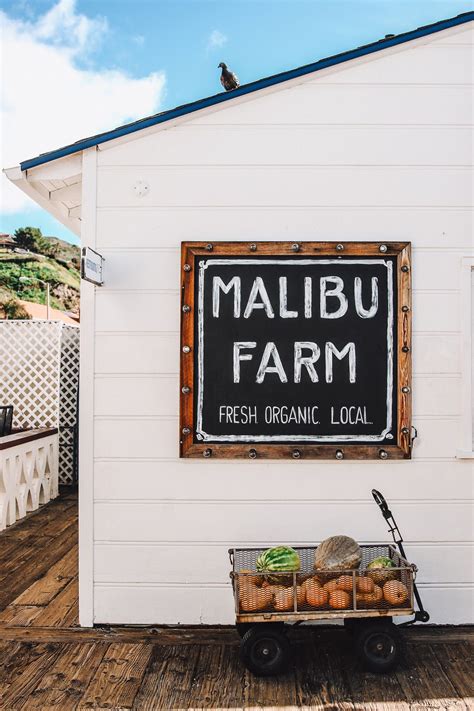Malibu Farm, Malibu, CA | Malibu farm, Malibu, Outdoor decor