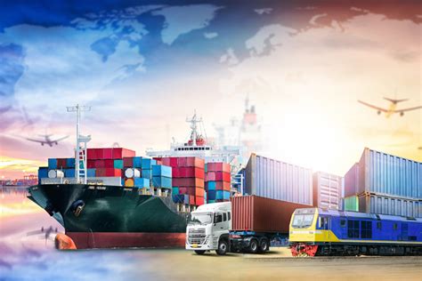 Freight Forwarding Elite Shipping Line