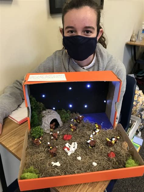 7th Grade Projects Trinity School At Meadow View