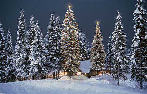 Rocky Mountain Cabin In Snow At Christmas Photograph By Buddy Mays