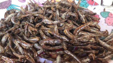 How To Make Dried Fish Tuyoat Homepaano Gumawa Ng Tuyo Na Dilistuyo