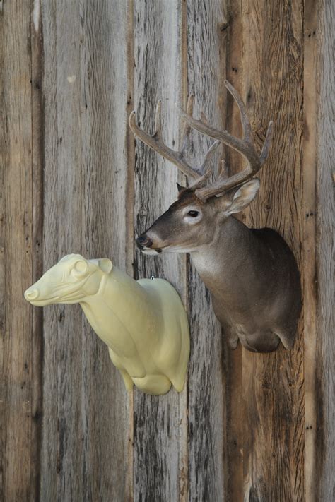 Home - Mears Whitetail Forms