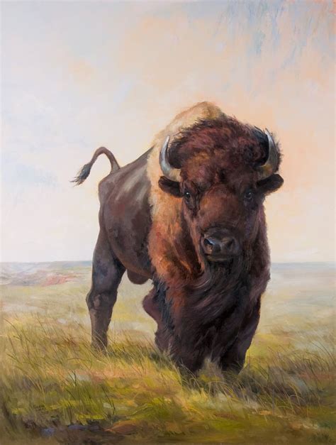 Native American Artbuffalo And Photos By Saleana Buffalo Art