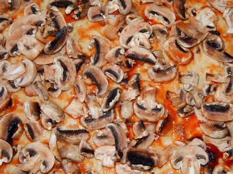 Experts & broker view on nhc foods ltd. Free Cooking pizza step-by-step recipe with ingredients ...