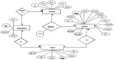 Draw Er Diagram For College Management System Wiring Diagram Schemas