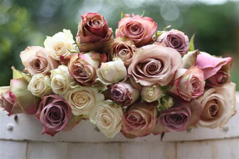 Dusky Pink Flowers For Weddings Dusky Pink Roses Wedding Flowers