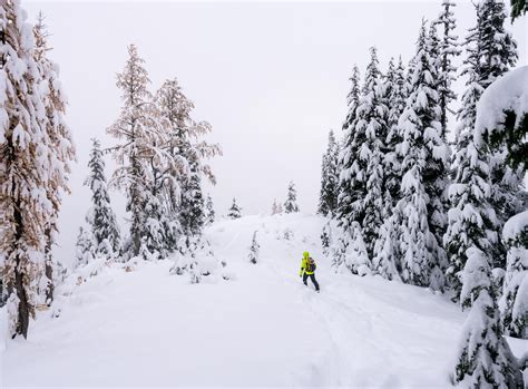 Already Lots Of Snow In The Mountains North Cascades National Park