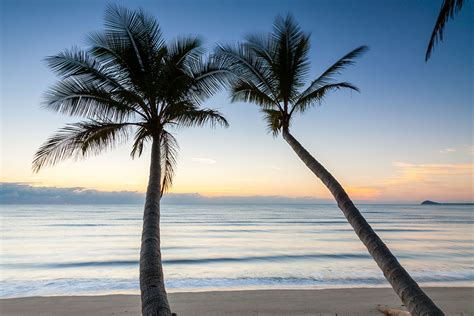 Auf tripadvisor finden sie alles für newell beach, daintree region: Newell Beach Palms (70030), photo, photograph, image | R a ...