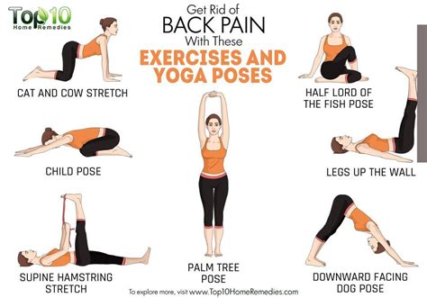 Though it's easy to get tight all up in your lower back (one of the many effects of sitting a lot), finding fluidity in your spine helps create better mobility throughout your entire body. Yoga For Anxiety: 6 Poses To Reduce Stress And Support ...