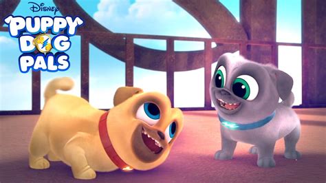 New Series Puppy Dog Pals Disney Junior Youtube