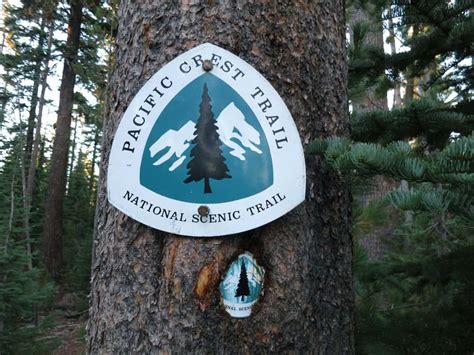 Why Youll Probably Die Hiking The Pacific Crest Trail Halfway Anywhere