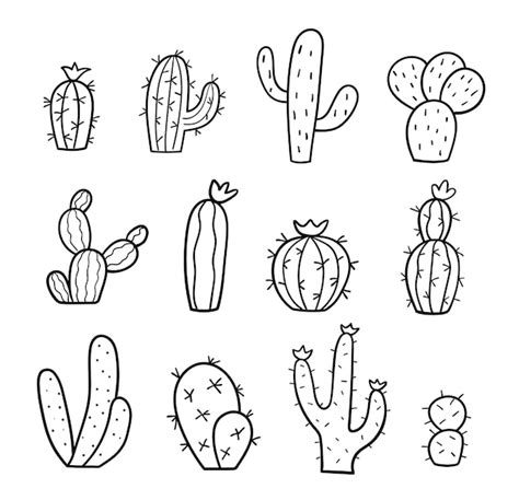 Free Vector Cactus Sketch Set