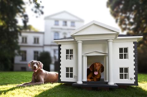4 Amazing Luxury Dog Houses By Best Friends Home Digsdigs