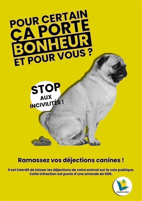 Déjections Canines à Laigle La Municipalité Veut Mettre Le Nez Des