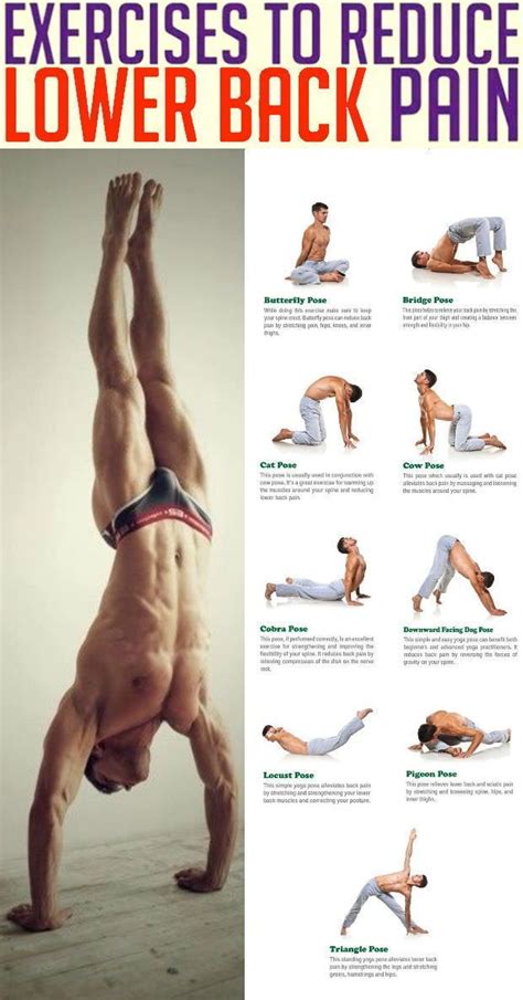 Simple Stretch Exercises To Relieve Lower Back Pain Click On Image