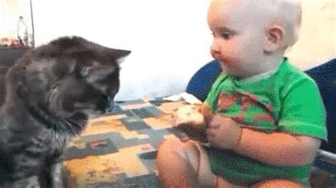 Sharing GIF Find Share On GIPHY