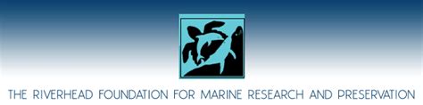 Riverhead Foundation For Marine Research And Preservation Nature