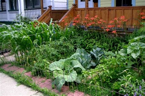 Pictures Of Front Yard Vegetable Gardens One Hundred