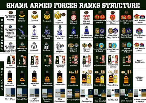 Infographic Gaf Explains Ranks Structure In One Photo