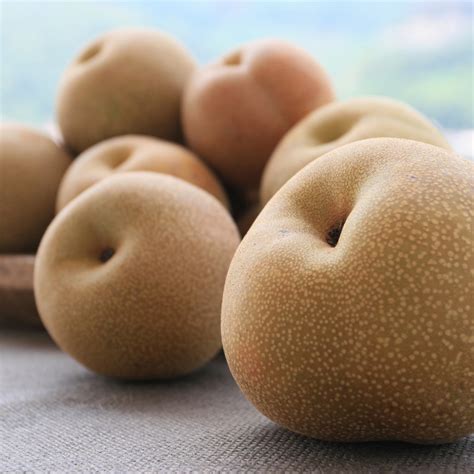 nashi get to know the pears that japanese people love arigato travel