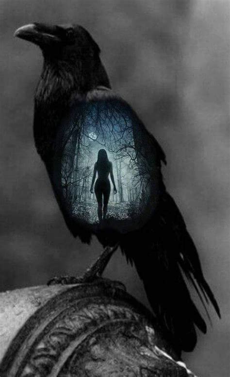 Eliza On Twitter Dark Fantasy Art Raven Art Crow Art