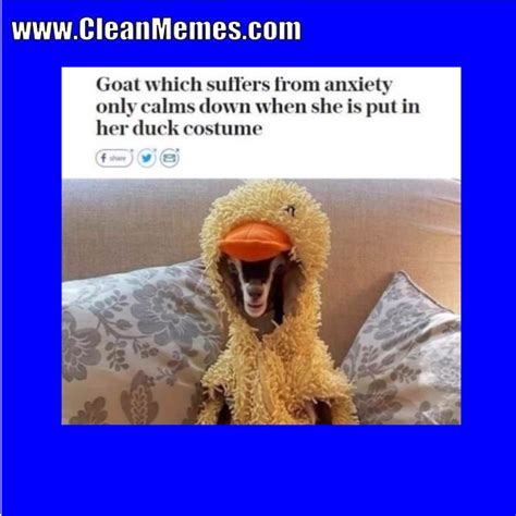 Funniest Memes Ever Clean Art Valley