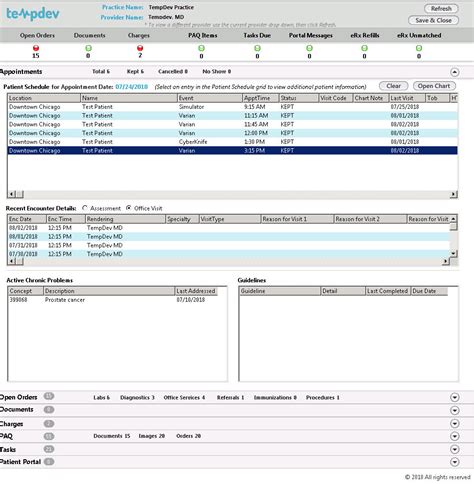 Tempdev Nextgen Ehr Templates And Why They Are Useful Tempdev