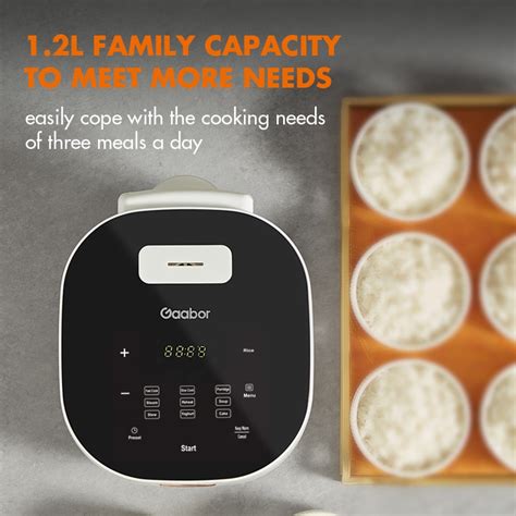 Gaabor L Multifunctional Rice Cooker With H Cooking Set Up