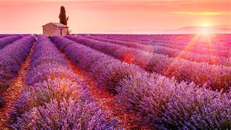 Pretty House Glow Cottage Beautiful Sunset Lavender Rays Summer