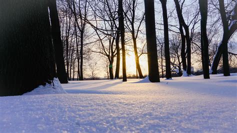 Snowy Winter Landscape In The Forest Image Free Stock Photo Public
