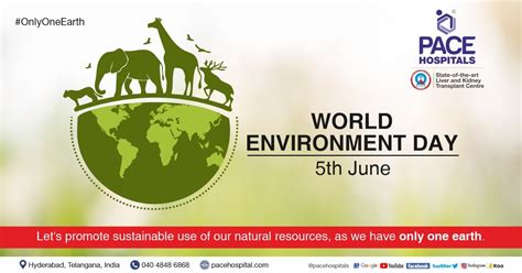 World Environment Day 5 June 2023 Theme And Importance