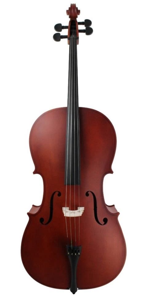 Violoncello Profesional 44 Solid Spruce Amadeus Cellini Sala Beethoven