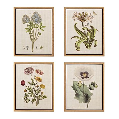Botanical Framed Art Set Of 4 ~ Eclectic Goods Botanical Wall Art