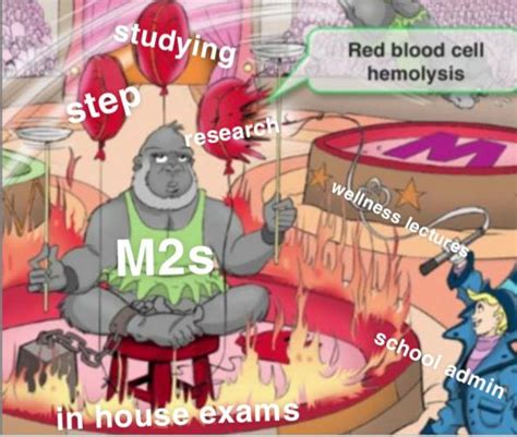 Meme The Shigella Sketch Really Gets Me Rmedicalschool