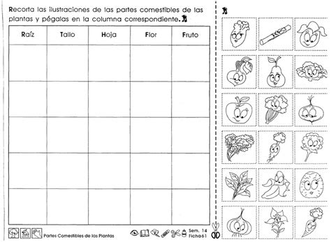 Educando Con Amor Actividades Para Tercer Grado