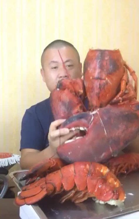 How To Eat A Giant Lobster Wtf Giant Lobster Lobster Funny 