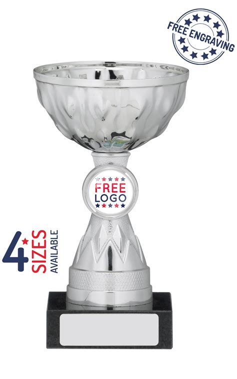 Silver Ice Cup Trophy Free Logo Free Engraving Fast Delivery