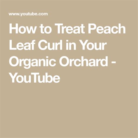How To Treat Peach Leaf Curl In Your Organic Orchard Youtube Farm