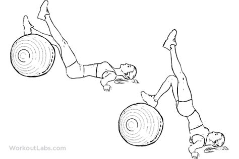 Single Leg Swiss Ball Hips Raise Leg Curl Illustrated Exercise