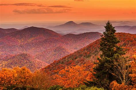 Fall Colors In Georgia 2023 When And Where To Get The Best Views
