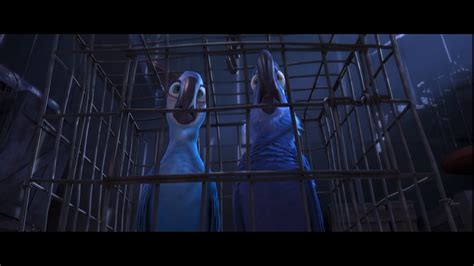 Image Blu And Jewel In A Cage 2 Rio Wiki Fandom Powered By